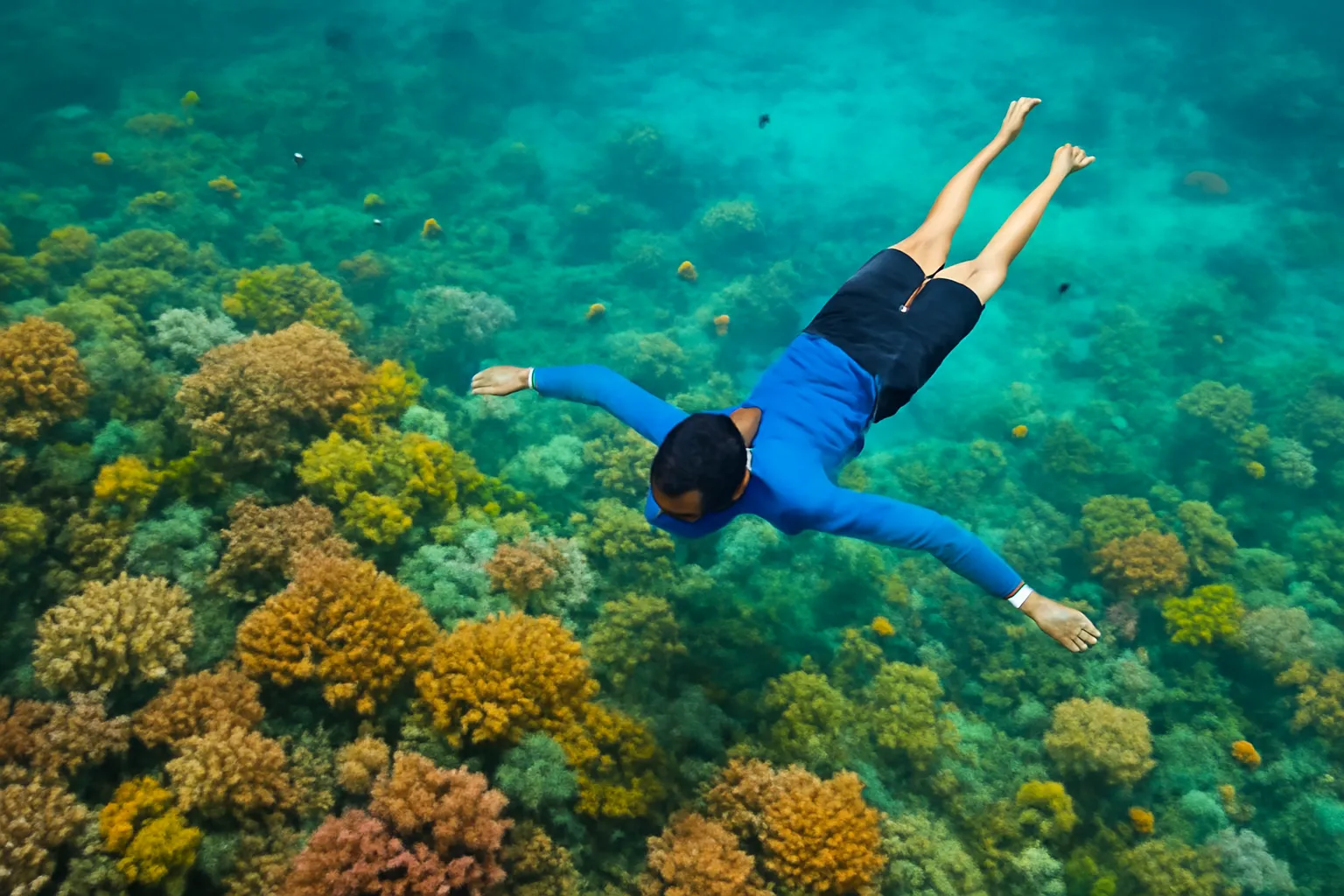 Người lặn ống thở ngắm rạn san hô nhiều màu và đàn cá nhỏ dưới nước trong